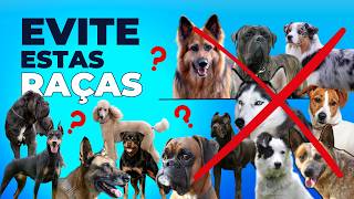 Cães: Raças Fáceis vs Difíceis para Treinar, Qual é a Melhor Opção?