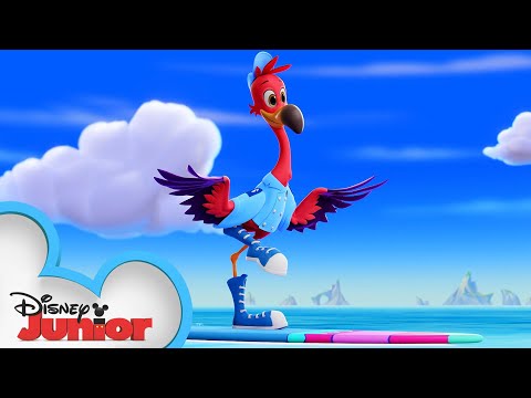 Freddy Learns to Surf ?♂️ | T.O.T.S. | @Disney Junior (Freddy Learns to Surf ?‍♂️ | T.O.T.S. | @Disney Junior)