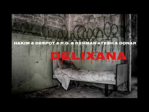 Hakim Despot & R.G & Rehman Atesh & Donar - Delixana