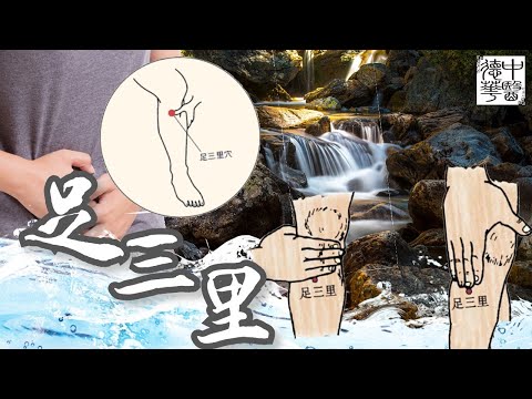 居家养生扶正 足三里