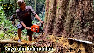 Download lagu SATU MINGGU PENUH KAMI MENGHABISKAN KAYU INI UNTUK DI OLAH..!! Legenda kayu ulin pedalaman mp3 Download lagu SATU MINGGU PENUH KAMI MENGHABISKAN KAYU INI UNTUK DI OLAH..!! Legenda kayu ulin pedalaman mp3