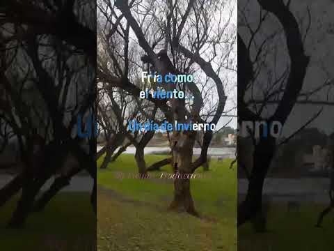 Viedma Río Negro. Costanera 🪾☃️💜☃️ INVIERNO. CAMINATA🫶🌍🫂 🚶🤸🏃 #VIVYAN #vivyanGlamour 💜🫂🌈 Suscribite