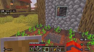 マイクラ参加型