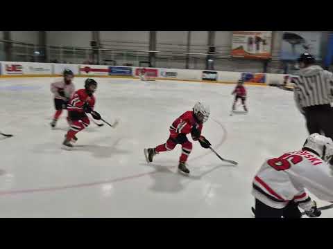 Mark_Cross hc panter