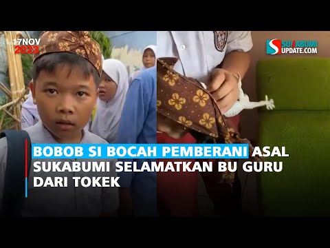Bobob si Bocah Pemberani Asal Sukabumi Selamatkan Bu Guru dari Tokek