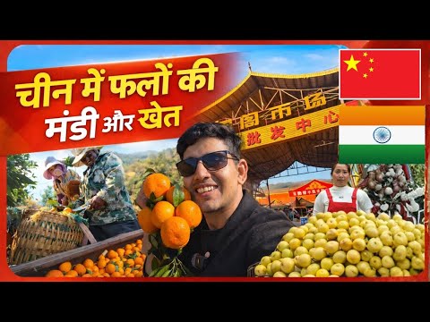 China Fruits Market and orange farming China Niranjan