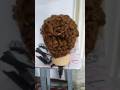 Hair Style Tutorial Braidal Hairstyle Youtubeshorts Beautiful Hairstyle