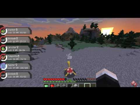 Pixelmon -  Skarmory And Onix