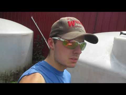 How To Keep Algae Under Control In Water Storage Tanks