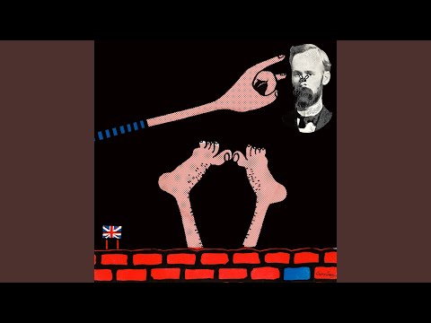 Mae rhywun wedi dwyn fy nhrwyn