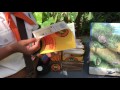Wilderness Explorer Badges Pandora The World Of AVATAR At Disney S Animal Kingdom