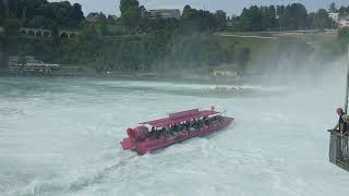Eine Schifffahrt auf dem Rhein - direkt am Rheinfall
