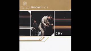 Simple Minds -  New Sunshine Morning (guitar and synth programming)