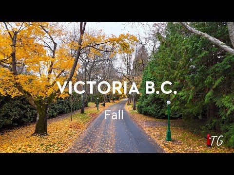 Imagens de drone 4K - Victoria BC Canadá - Fall Streets