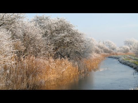 Ralph Vaughan Williams : In the Fen Country. Photographs.