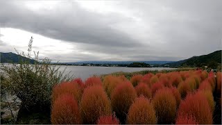 おかんと二人旅　Part149　河口湖