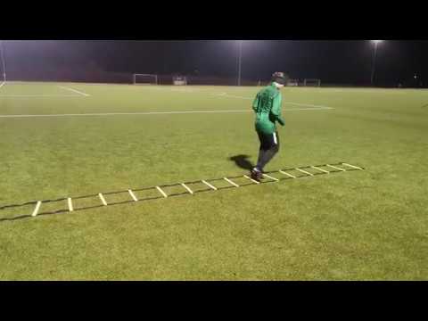 Wedler Cross - Koordinationsleiter