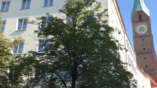 Hotel Der Tannenbaum | Munich, Germany | Hotel Review🏨