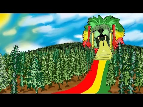 Reggae das antigas Melo de sao Francisco