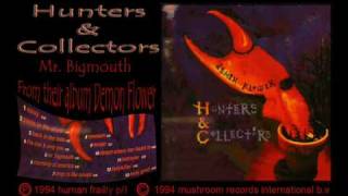 Hunters and collectors mr bigmouth.wmv