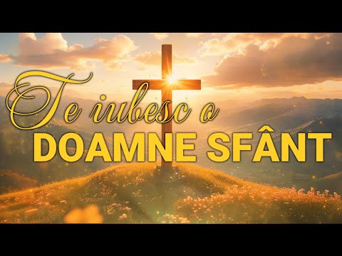 TE IUBESC O DOAMNE SFÂNT(cover)