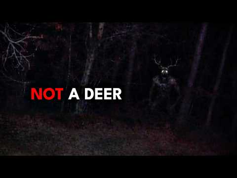 7 Scary Videos That Will Test You