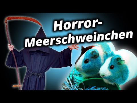 Horror-Meerschweinchen - Der Tod (Death Comedy)