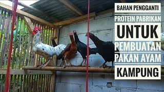 Download lagu PENTING..!!! BAHAN PENGGANTI PROTEIN PABRIKAN UNTUK PAKAN AYAM KAMPUNG mp3