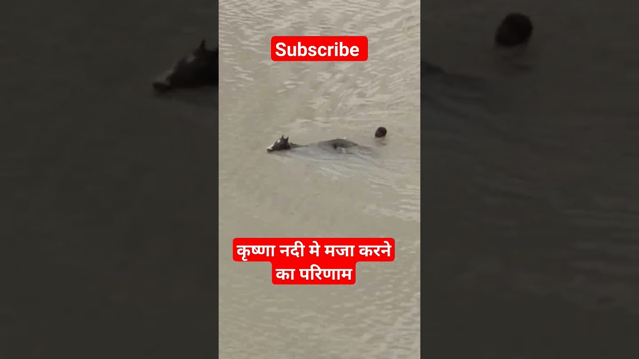 #railway #travel #viral