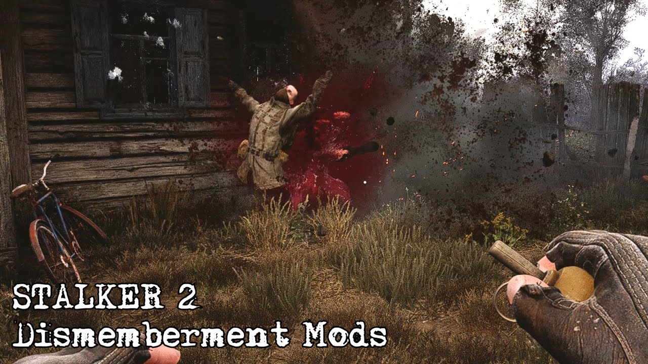 S.T.A.L.K.E.R. 2 - Dismemberment Mods
