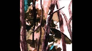 Hop Along - Bark Your Head Off, Dog (Full Album)