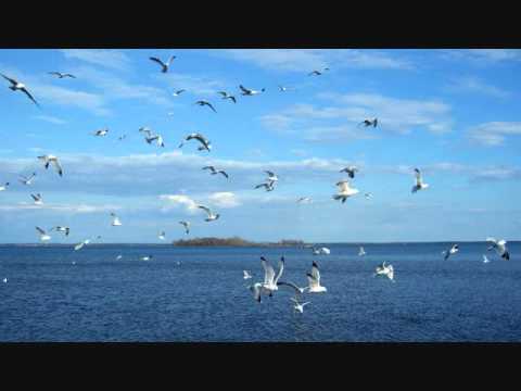 Los Tres Pres. DJ Mackx - Flying Birds (Arjen Van Thijs Mix)