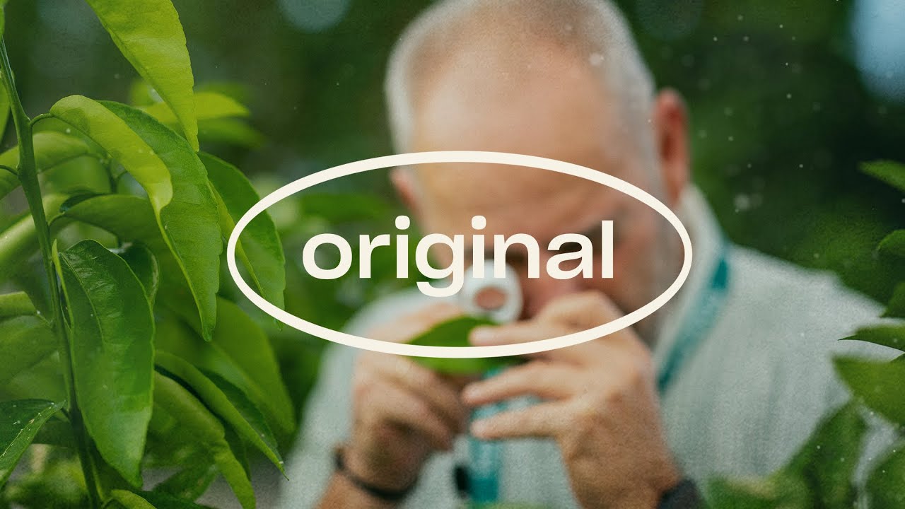 Video preview poster