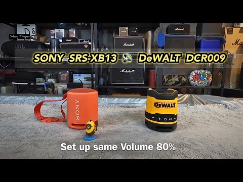Колонка портативная аккумуляторная DeWALT DCR009 Колонка портативная аккумуляторная DeWALT DCR009