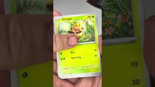 Profit or loss pt 95 #pokemon #pokemonchannel #pokemoncards #pokemontcg #collectiblecards #ptcg