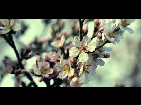 MOHAMMAD SORI (NEWROZ)