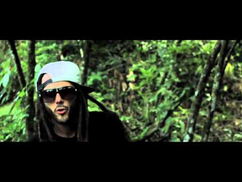 Toledo ft  Fyahbwoy - Se llevaron mi ganja - VIDEO OFICIAL 2014