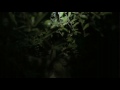 KID MOXIE - TSUNAMI (official video) 