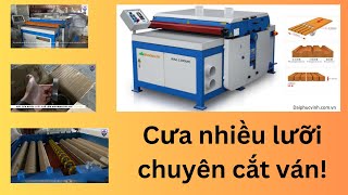 Máy cưa nhiều lưỡi khổ lớn 1m3 Woodmaster WM-1300MR