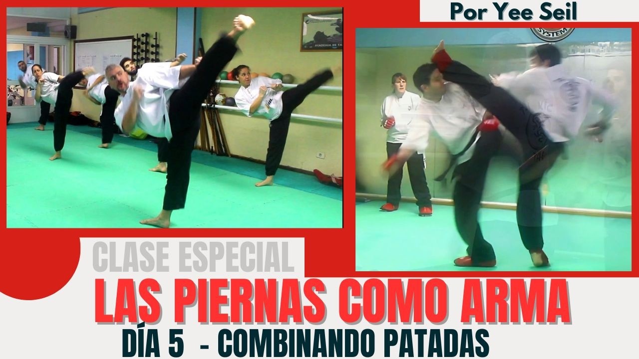 LAS PIERNAS COMO ARMA -   DÍA 5 - COMBINANDO PATADAS - POR YEE SEIL