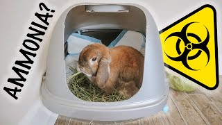Are Hooded Litter Boxes Dangerous???