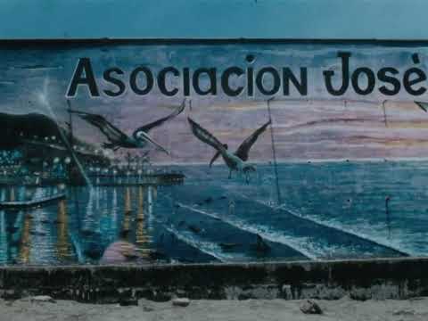 Gallinazo trailer thumbnail