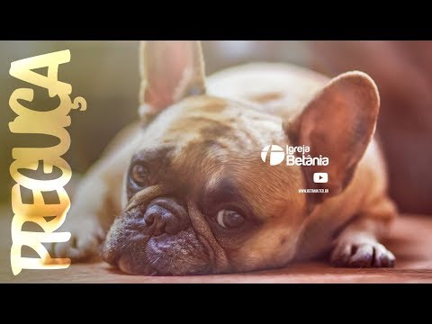 REFLEXÃO SEMANAL | PREGUIÇA