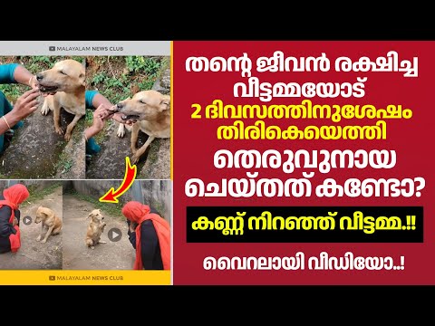 കണ്ടു നിന്നവരെല്ലാം അമ്പരന്നുപോയ നിമിഷം.! 