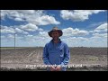 Grant Porter, Darling Downs - cover cropping to improve water efficiency