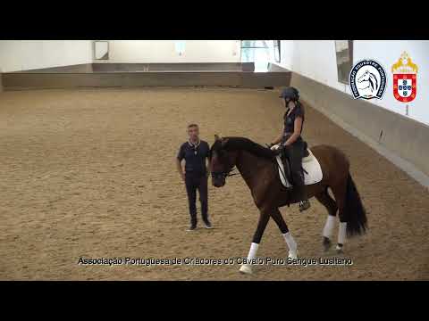 230626 9 Proj Ensino APSL&FEP - Mariana Ramos com Poeta