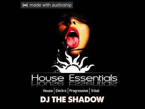 D Vegas & Like Mike X Dahool vs Blasterjaxx & Eurythmics - Meet Big Bird Sweet Dreams At Tomorrowla