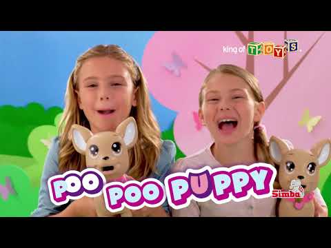 Simba chi meilės šuns poo šuniukas video