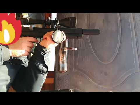 Доберман 350 Стандарт Эксцентрик звук штатного саундмодератора с РК.