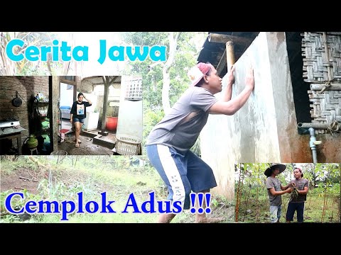 tambah-imun-cemplok-adus-cerita-jawa